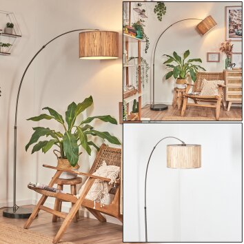 Bongal Lampadaire Nickel mat, Noir, 1 lumière