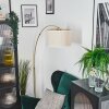Bassagoda Lampadaire Laiton, Noir, 1 lumière