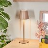 Salgadinho Lampe de table d'extérieur, Lampe à poser LED Sable, 1 lumière