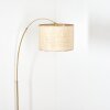 Sabadim Lampadaire Laiton, Noir, 1 lumière