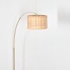 Cavaca Lampadaire Laiton, Noir, 1 lumière