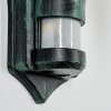 Naofe Lampe murale d´extérieur, Applique murale Vert, Noir, 1 lumière, Détecteur de mouvement