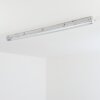 Ilena Plafonnier extérieur, Luminaire extérieur, Luminaire de salle de bain, Projecteur, Plafonnier LED Gris, 1 lumière