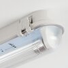 Ilena Plafonnier extérieur, Luminaire extérieur, Luminaire de salle de bain, Projecteur, Plafonnier LED Gris, 1 lumière