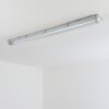 Ilena Plafonnier extérieur, Luminaire extérieur, Luminaire de salle de bain, Projecteur, Plafonnier LED Gris, 1 lumière