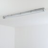 Ilena Plafonnier extérieur, Luminaire extérieur, Luminaire de salle de bain, Projecteur, Plafonnier LED Gris, 1 lumière