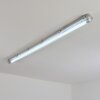 Ilena Luminaire extérieur, Luminaire de salle de bain, Plafonnier LED Gris, 1 lumière