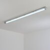 Ilena Luminaire extérieur, Luminaire de salle de bain, Plafonnier LED Gris, 1 lumière