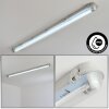 Ilena Plafonnier extérieur, Luminaire extérieur, Luminaire de salle de bain, Projecteur, Plafonnier LED Gris, 1 lumière