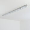 Ilena Plafonnier extérieur, Luminaire extérieur, Luminaire de salle de bain, Projecteur, Plafonnier LED Gris, 1 lumière