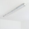Ilena Plafonnier extérieur, Luminaire extérieur, Luminaire de salle de bain, Projecteur, Plafonnier LED Gris, 1 lumière