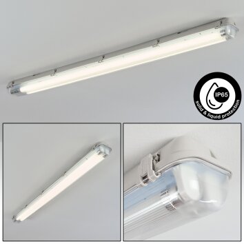 Ilena Plafonnier extérieur, Luminaire extérieur, Luminaire de salle de bain, Projecteur, Plafonnier LED Gris, 1 lumière