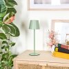 Salgadinho Lampe de table d'extérieur, Luminaire de salle de bain, Lampe à poser LED Vert, 1 lumière