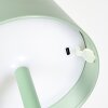 Salgadinho Lampe de table d'extérieur, Luminaire de salle de bain, Lampe à poser LED Vert, 1 lumière