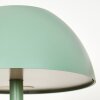 Laken Lampe de table d'extérieur, Luminaire de salle de bain, Lampe à poser LED Vert, 1 lumière