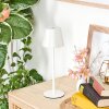 Salgadinho Lampe de table d'extérieur, Lampe à poser LED Blanc, 1 lumière
