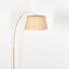 Cavaca Lampadaire Laiton, Noir, 1 lumière