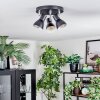 Farel Plafonnier, Spot de plafond Chrome, Noir, 3 lumières