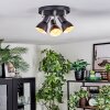 Farel Plafonnier, Spot de plafond Chrome, Noir, 3 lumières