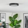 Isela Plafonnier LED Noir, 1 lumière
