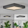 Isela Plafonnier LED Noir, 1 lumière