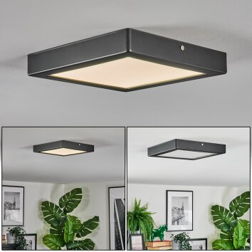 Isela Plafonnier LED Noir, 1 lumière