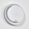 Jelad Lampe murale d´extérieur, Applique murale LED Argenté, 1 lumière, Détecteur de mouvement