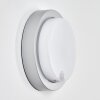 Jelad Lampe murale d´extérieur, Applique murale LED Argenté, 1 lumière, Détecteur de mouvement