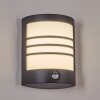 Heran Lampe murale d´extérieur, Applique murale LED Noir, 1 lumière, Détecteur de mouvement