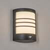 Heran Lampe murale d´extérieur, Applique murale LED Noir, 1 lumière, Détecteur de mouvement