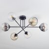Ripoll Plafonnier, Boule lumineuse Ambre, Clair, Fumé, 6 lumières