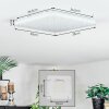 Loden Plafonnier LED Blanc, 1 lumière