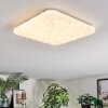 Loden Plafonnier LED Blanc, 1 lumière