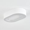 plafonnier extérieur  Paleroo LED Blanc, 1 lumière