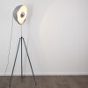 Lampadaire Maloy Gris, 1 lumière