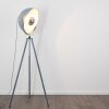 Lampadaire Maloy Gris, 1 lumière