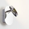 Spot mural Adel LED Chrome, 1 lumière