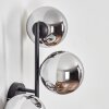 Gastor Boule lumineuse, Applique murale Chrome, Fumé, 3 lumières
