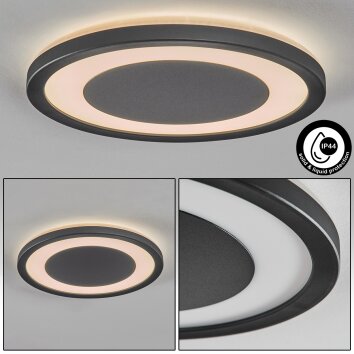 Gelan Plafonnier, Panel, Applique murale LED Noir, Blanc, 1 lumière