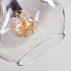 Ripoll Plafonnier, Boule lumineuse Clair, Fumé, 5 lumières