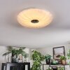 Luvan Plafonnier LED Blanc, 1 lumière