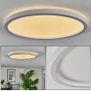 Xarel Plafonnier, Panel LED Blanc, 1 lumière