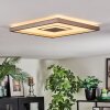 Ilion Plafonnier, Panel LED Nickel mat, Blanc, 1 lumière