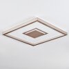 Ilion Plafonnier, Panel LED Nickel mat, Blanc, 1 lumière