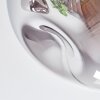 Ripoll Plafonnier, Boule lumineuse Chrome, Clair, Fumé, 6 lumières