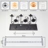 Gastor Suspension, Boule lumineuse, Suspension Ambre, Chrome, Clair, Fumé, 6 lumières