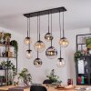 Gastor Suspension, Boule lumineuse, Suspension Ambre, Chrome, Clair, Fumé, 8 lumières