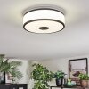 Elran Plafonnier LED Noir, Blanc, 1 lumière