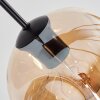 Ripoll Suspension, Boule lumineuse, Suspension Ambre, Clair, Fumé, 8 lumières