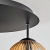 Ripoll Plafonnier, Boule lumineuse Ambre, Clair, Fumé, 5 lumières
